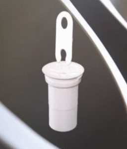D- Valve